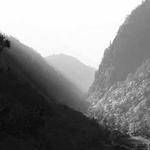 Daniella Romaguera Profile Picture