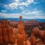 Zetta Hill Profile Picture