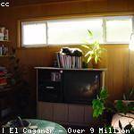 Hubert Pollich Profile Picture