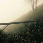 Levi Beahan Profile Picture