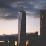 Anne Treutel Profile Picture