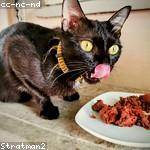 Charity Schinner Profile Picture