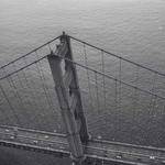 Edyth Jones Profile Picture