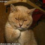 Mariah Gerlach Profile Picture