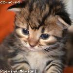 Cory Graham Profile Picture