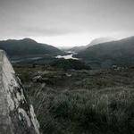 Ayana Mills Profile Picture