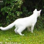 Alice Ruecker Profile Picture