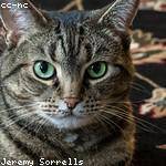 Elvera Schmeler Profile Picture