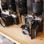 Arden Farrell Profile Picture