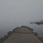 Paris Rippin Profile Picture