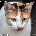 Earnest Larson Profile Picture