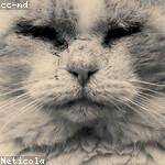 Hubert Goodwin Profile Picture