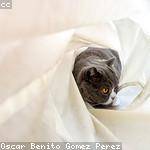 Taya Cruickshank Profile Picture