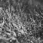 Taryn Hirthe Profile Picture